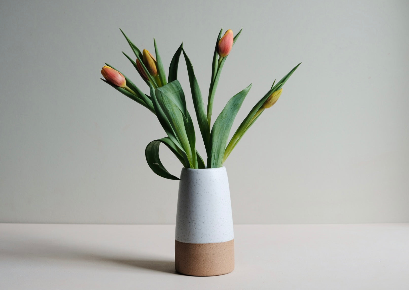 Vases & Planters